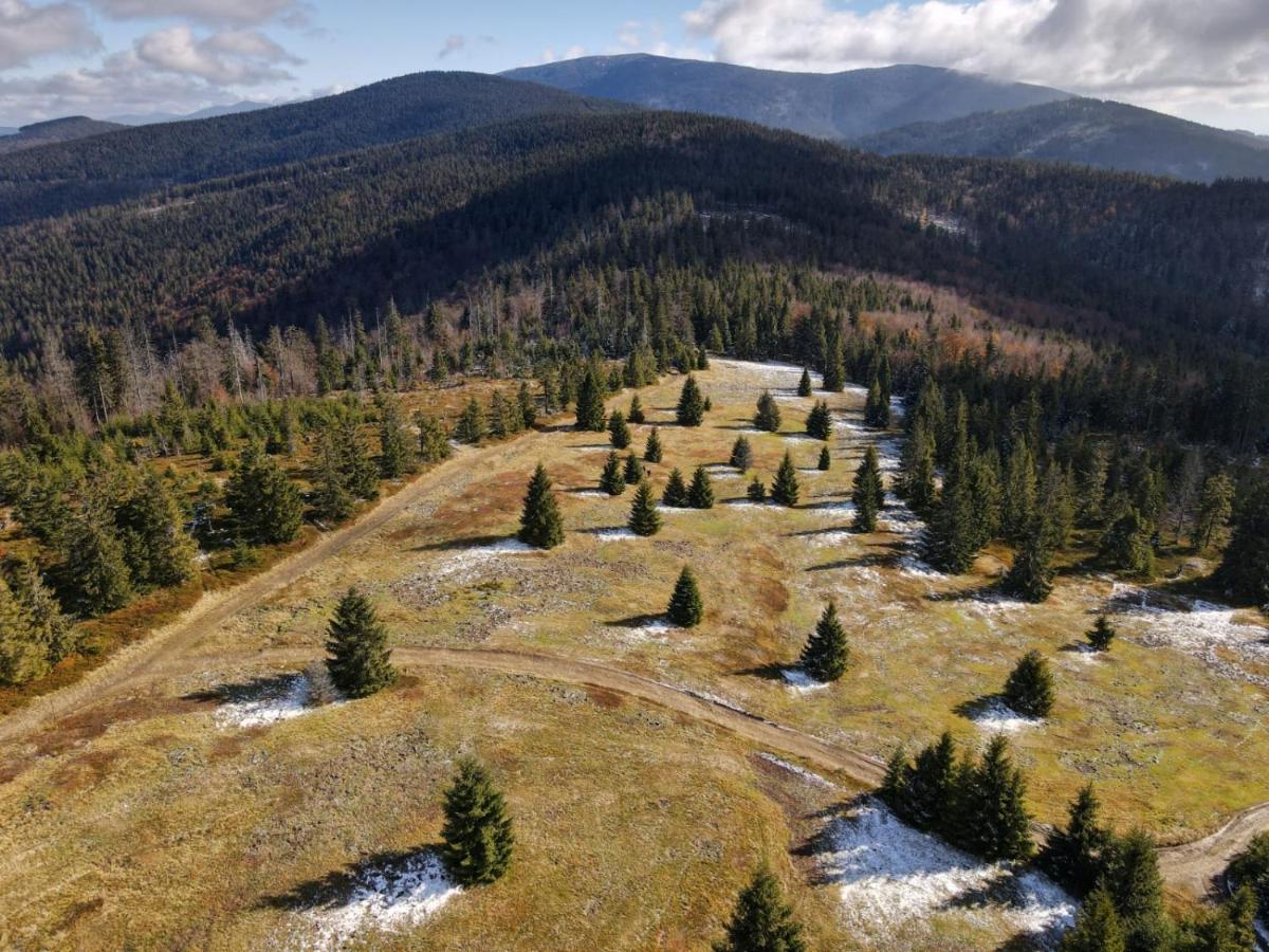 Pokoje Pod Szyndzielnia Бельско-Бяла Экстерьер фото